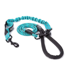 Load image into Gallery viewer, Dog Leash No Tangle Double Dog Walking Training Leash