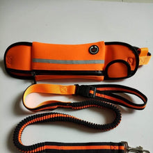 Load image into Gallery viewer, Pet pockets movement traction rope reflective