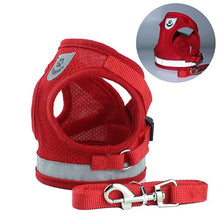 Load image into Gallery viewer, Reflective Cat Harness And Leash