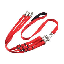 Load image into Gallery viewer, safety dog leash