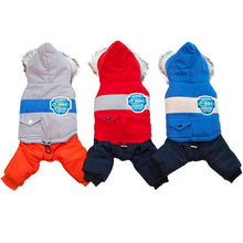 Load image into Gallery viewer, Cute dog clothes