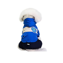 Load image into Gallery viewer, Cute dog clothes